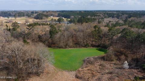 11663 Springridge Rd, Terry, MS 39170 photo 102