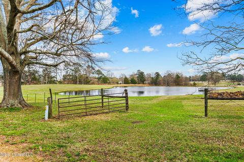 11663 Springridge Rd, Terry, MS 39170 photo 78