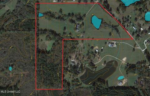 11663 Springridge Rd, Terry, MS 39170 photo 127