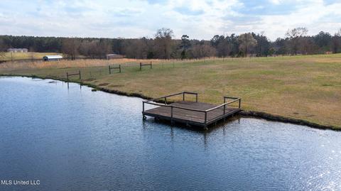 11663 Springridge Rd, Terry, MS 39170 photo 122