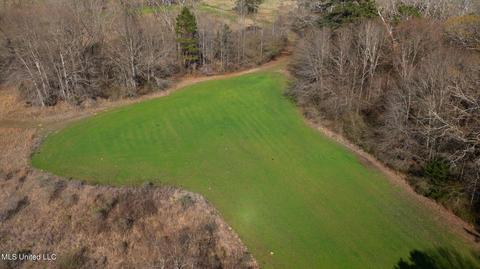 11663 Springridge Rd, Terry, MS 39170 photo 101