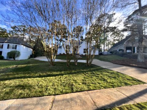 65 Moss Woods Dr, Madison, MS 39110 photo 3
