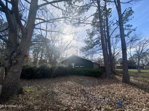 206 NE 7th Ave, Magee, MS 39111 photo 14