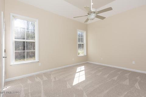 8161 Steven Henry Rd, Hernando, MS 38632 photo 11