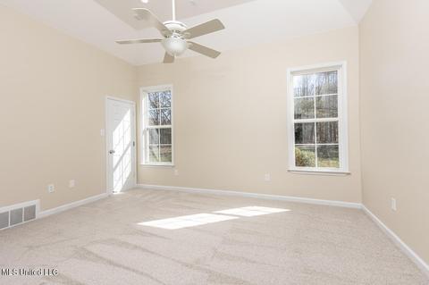 8161 Steven Henry Rd, Hernando, MS 38632 photo 10