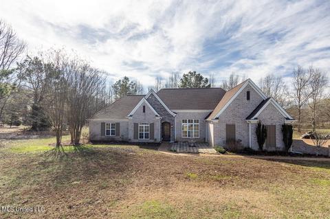 8161 Steven Henry Rd, Hernando, MS 38632 photo 1