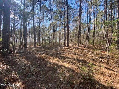 000 Hwy 471, Brandon, MS 39047