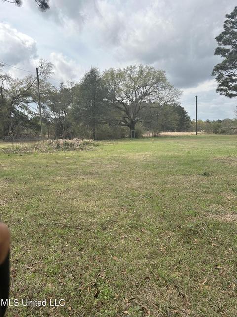 123 Oscar Howard Rd, Lucedale, MS 39452 photo 11
