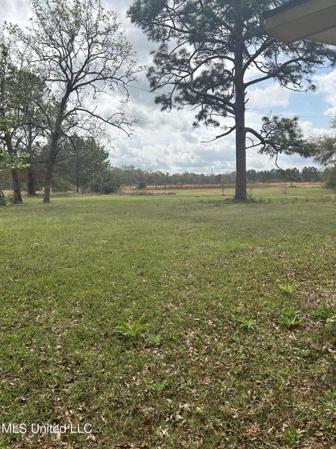 123 Oscar Howard Rd, Lucedale, MS 39452 photo 12