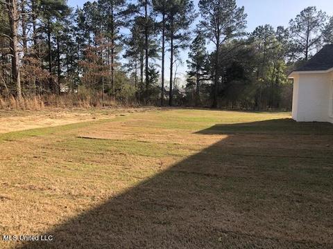 130 Seymour Dr, Madison, MS 39110 photo 2