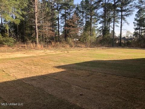 130 Seymour Dr, Madison, MS 39110 photo 4