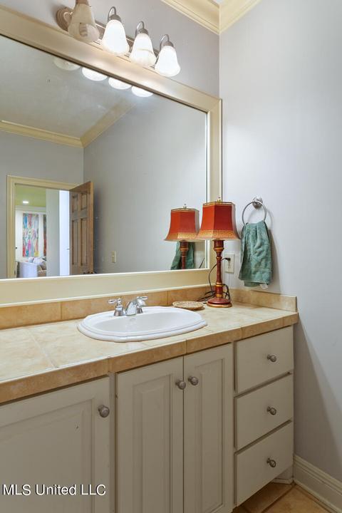 102 Coventry Cv, Madison, MS 39110 photo 29