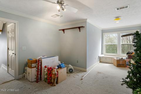 102 Coventry Cv, Madison, MS 39110 photo 31