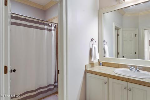 102 Coventry Cv, Madison, MS 39110 photo 28