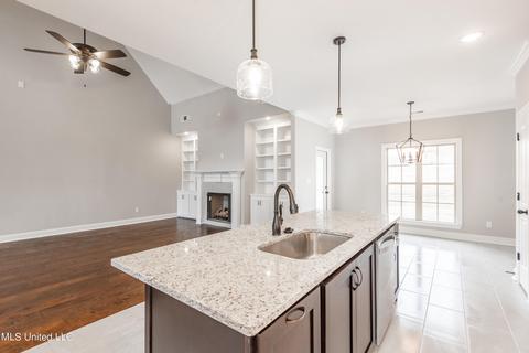 4836 Bakers Trl E, Nesbit, MS 38651 photo 10