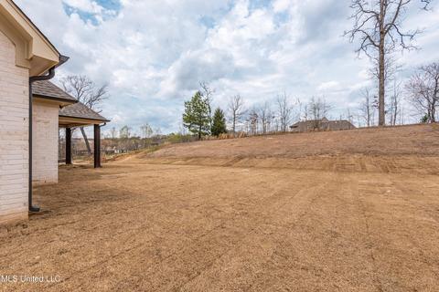 4836 Bakers Trl E, Nesbit, MS 38651 photo 25