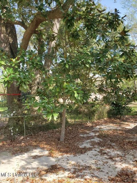 2801 Dantzler St, Moss Point, MS 39563 photo 15