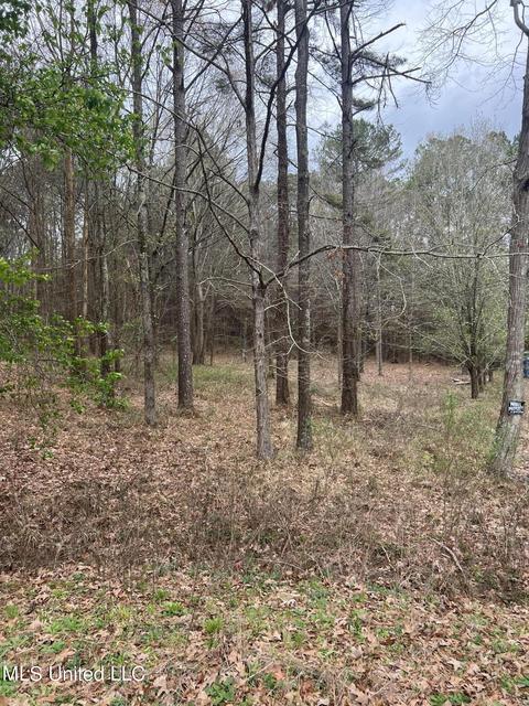 109 Sandy Hills Rd, Brandon, MS 39047 photo 2