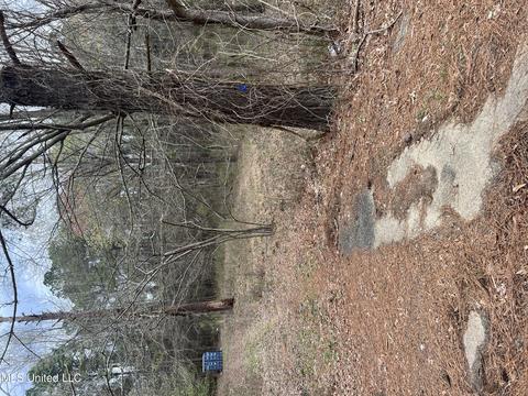 109 Sandy Hills Rd, Brandon, MS 39047 photo 3