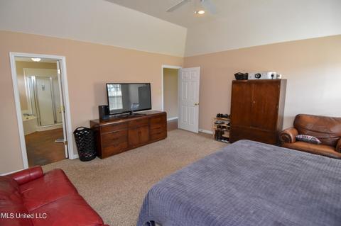 1423 Ivy Dr, Hernando, MS 38632 photo 12