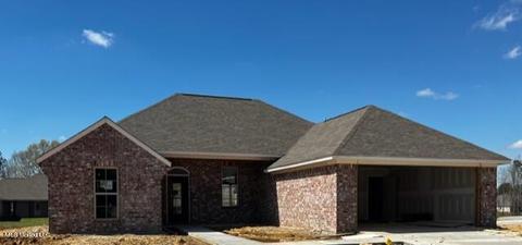 115 Bailey Cv, Canton, MS 39046 photo 1