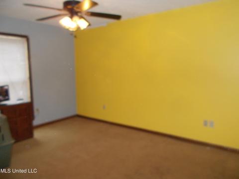 4801 S Big Horn Dr, Nesbit, MS 38651 photo 18