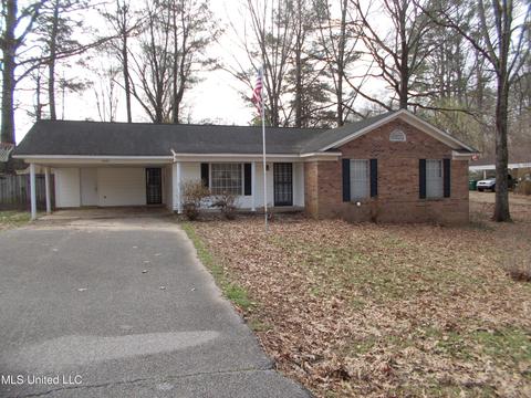 4801 S Big Horn Dr, Nesbit, MS 38651 photo 1