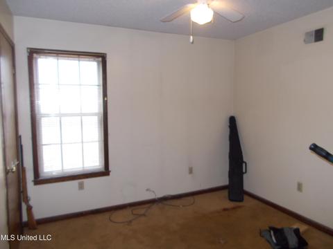 4801 S Big Horn Dr, Nesbit, MS 38651 photo 17