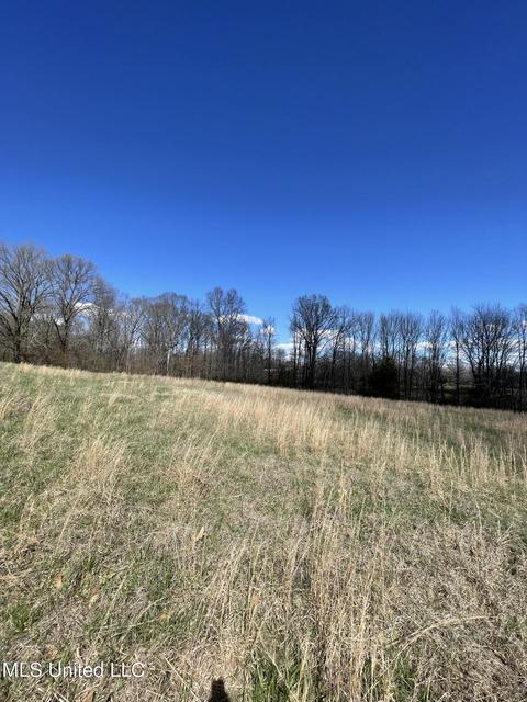 000 Veazey Rd, Coldwater, MS 38618