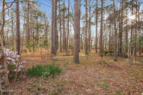2111 Shadowlawn St, Brandon, MS 39042 photo 18