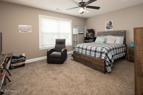 530 Mcneese Dr, Nesbit, MS 38651 photo 20