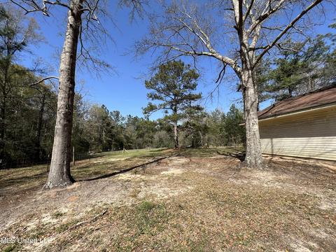 40 Cobb Rd, Wiggins, MS 39577 photo 18