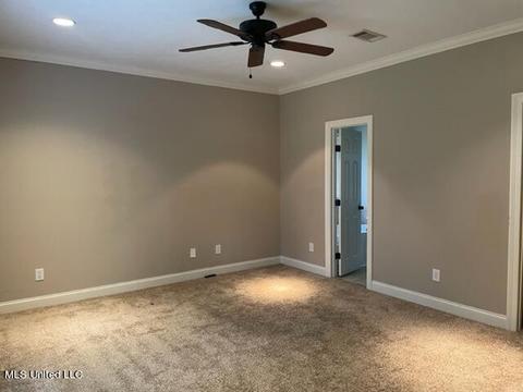 105 Devlin Springs Dr, Madison, MS 39110 photo 25