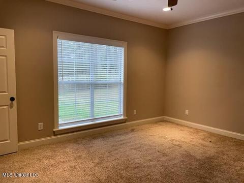 105 Devlin Springs Dr, Madison, MS 39110 photo 26