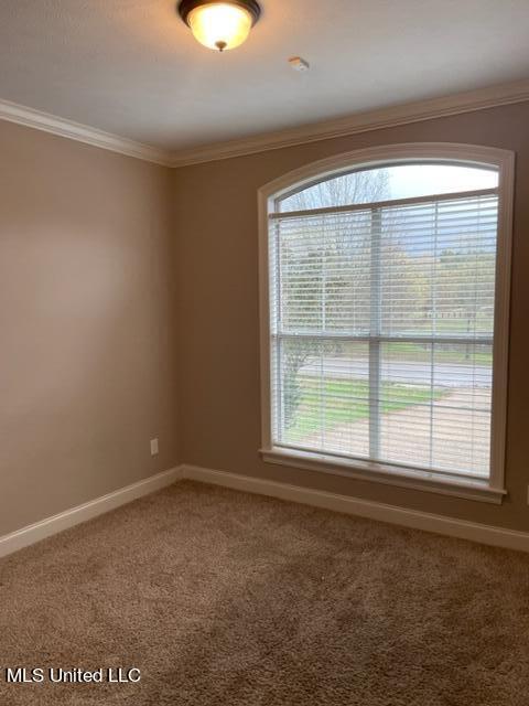105 Devlin Springs Dr, Madison, MS 39110 photo 22