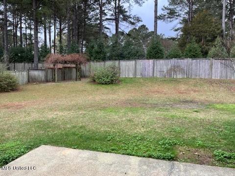 105 Devlin Springs Dr, Madison, MS 39110 photo 31