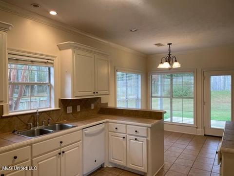 105 Devlin Springs Dr, Madison, MS 39110 photo 13