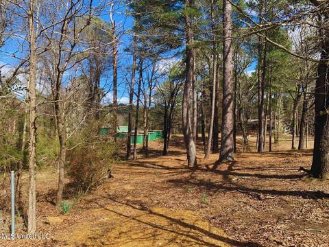 191 Evergreen Dr, Water Valley, MS 38965
