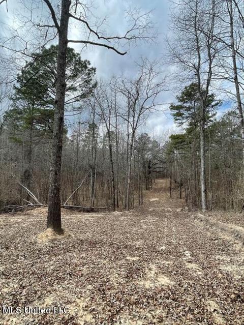 Permenter Rd Road, Camden, MS 39045