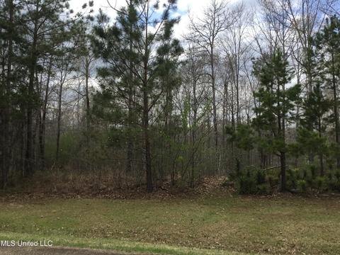 0 Sleepy Hollow Rd, Terry, MS 39170
