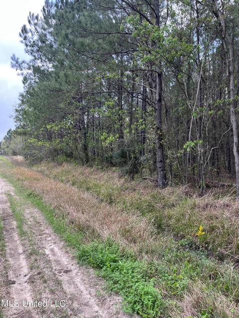 Sixteenth Street, Bay Saint Louis, MS 39520