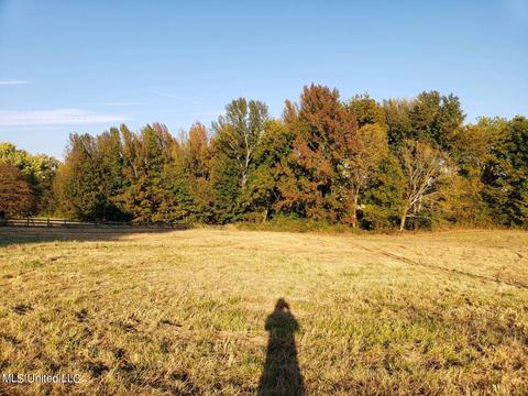 1982 Tulane Rd, Hernando, MS 38632 photo 3