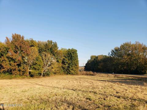 1982 Tulane Rd, Hernando, MS 38632 photo 2
