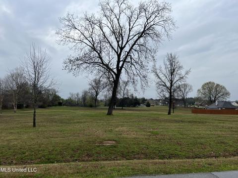 834 Rodeo Way, Nesbit, MS 38651 photo 3
