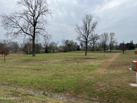 834 Rodeo Way, Nesbit, MS 38651 photo 4