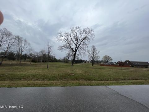 834 Rodeo Way, Nesbit, MS 38651 photo 2