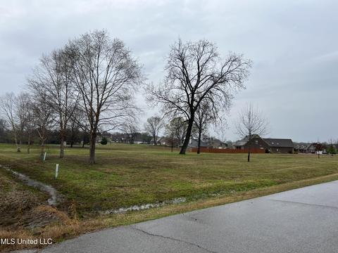 834 Rodeo Way, Nesbit, MS 38651 photo 1