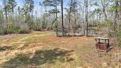 1828 S Hwy 43 S, Pelahatchie, MS 39145