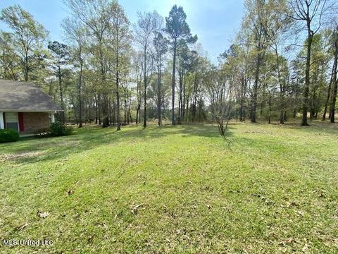 20140 Midway Rd, Terry, MS 39170 photo 3