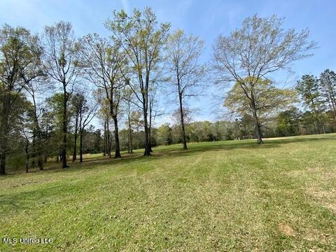 20140 Midway Rd, Terry, MS 39170 photo 4